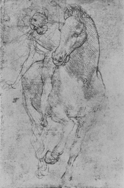 A Horseman by Leonardo da Vinci