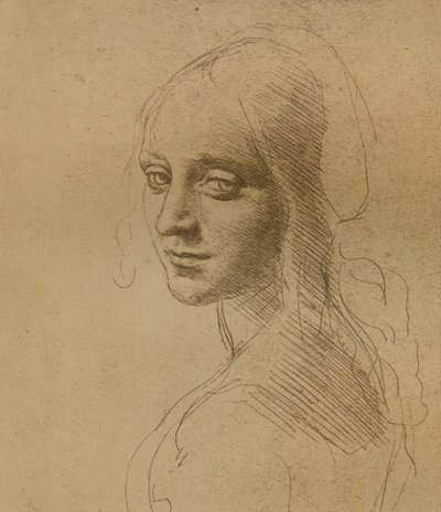 A female head, c1472-c1519 by Leonardo da Vinci