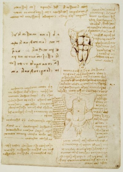 Anatomy Studies by Leonardo da Vinci