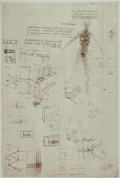 Anatomy Studies by Leonardo da Vinci