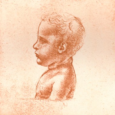 Bust of a Boy by Leonardo da Vinci