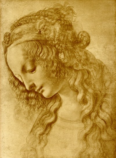 Female Head by Leonardo da Vinci