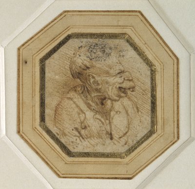Grotesque head by Leonardo da Vinci