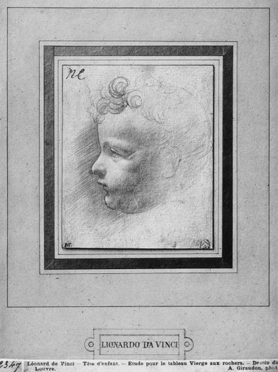 Head of a child by Leonardo da Vinci