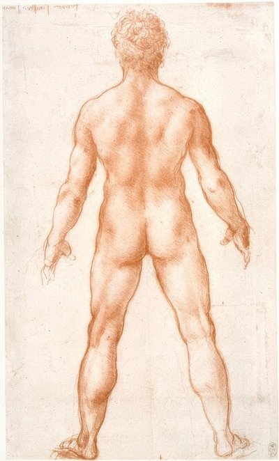 Male Nude from the Back by Leonardo da Vinci