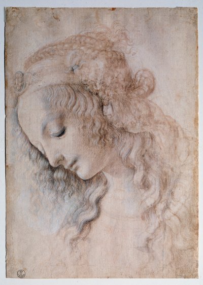 Portrait of a Girl by Leonardo da Vinci