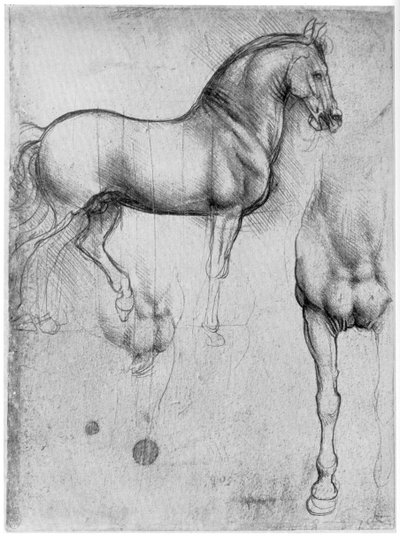 Studies of Horses by Leonardo da Vinci