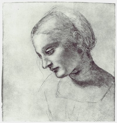 The Head of a Madonna by Leonardo da Vinci