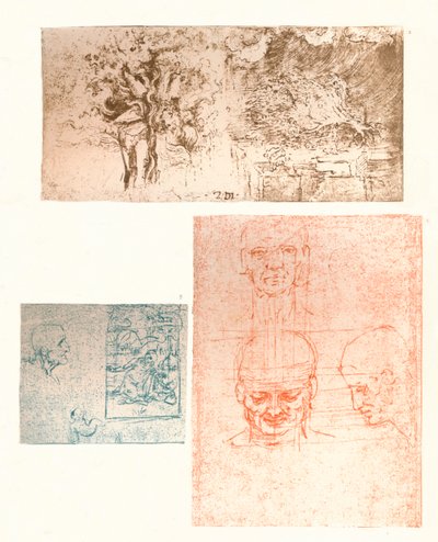 Three drawings by Leonardo da Vinci