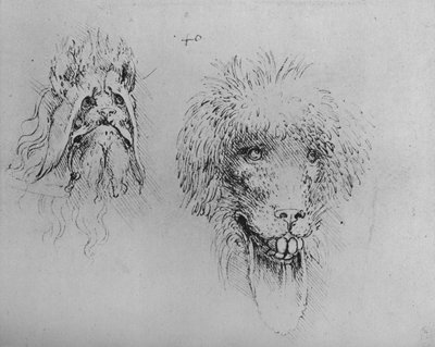 Two Heads of Monsters by Leonardo da Vinci