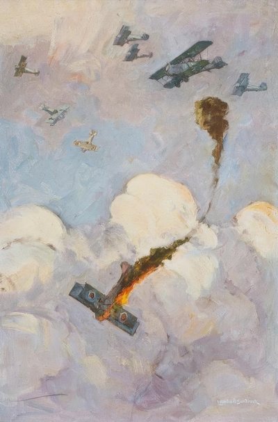 Dogfight by Leonhard Sandrock