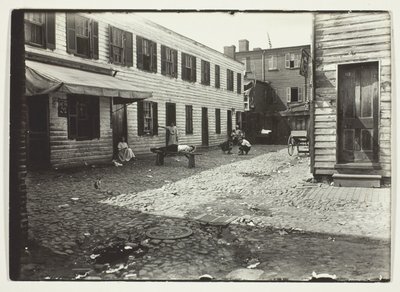 Negro Alley Housing Whites, Washington, D.C. by Lewis Wickes Hine