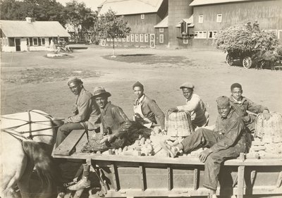 Untitled by Lewis Wickes Hine
