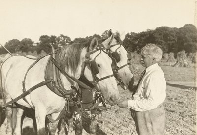 Untitled, ca. 1935 by Lewis Wickes Hine