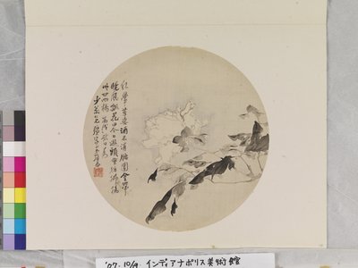 White Peony by Lian Ju