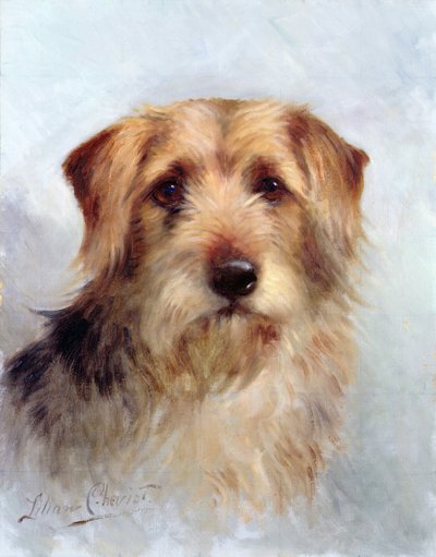 One of the Family by Lilian Cheviot