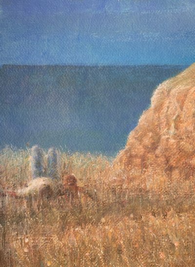 Coastal Path by Lincoln Seligman