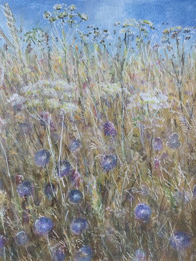 Cornflower 1 by Lincoln Seligman
