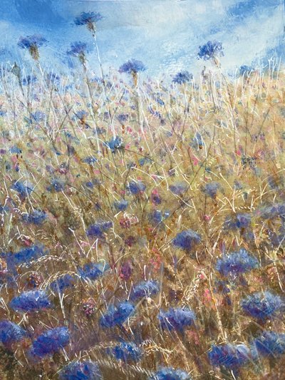 Cornflowers 2 by Lincoln Seligman