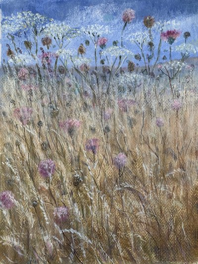 Cow Parsley 1 by Lincoln Seligman