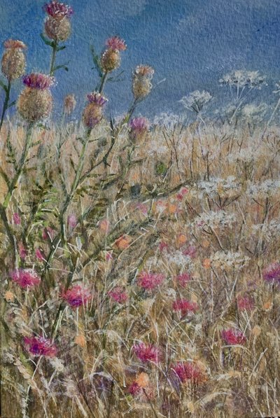 Thistles 1 by Lincoln Seligman