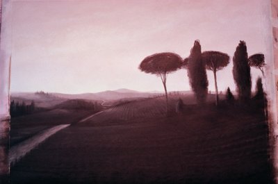 Tuscan Landscape by Lincoln Seligman
