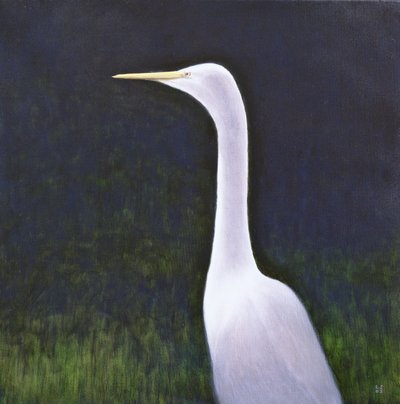 White Egret by Lincoln Seligman