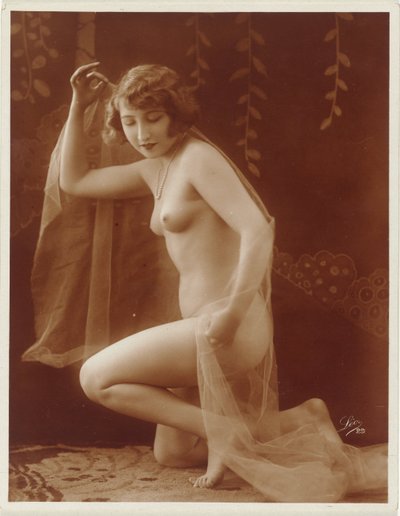 Female Nude with Veil by Léo
