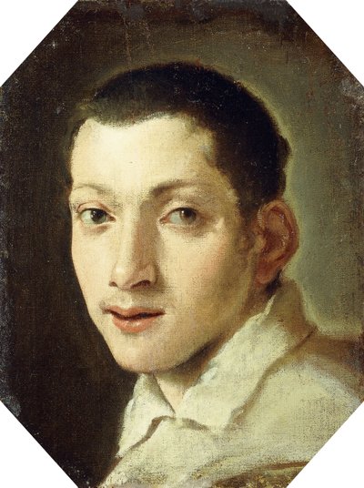 Head of a Youth by Lodovico Carracci