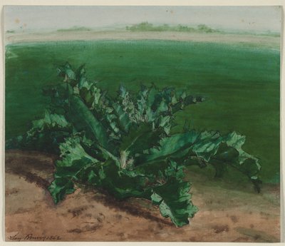 Study of a Plant, Possibly Thistle, 1862 by Léon Bonvin