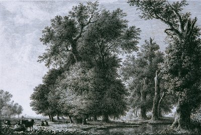 Landscape with Oaks by Lorenz Adolf Schönberger
