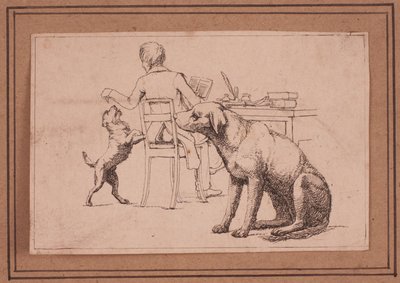 Picture 7 from A Dog