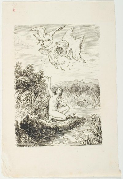 Draft for The Marsh King