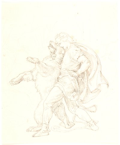 Draft for Skjold