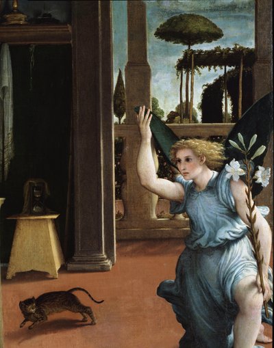 The Annunciation (Detail of the Angel) by Lorenzo Lotto