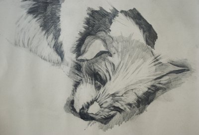 Jack Russel by Lou Gibbs