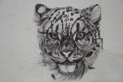 Snow Leopard by Lou Gibbs