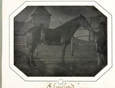 Cleveland by Louis Auguste Bisson