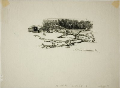 Crossroads of the Thorn by Louis Auguste Lepère