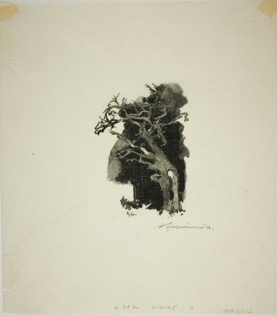 The Spitfire by Louis Auguste Lepère