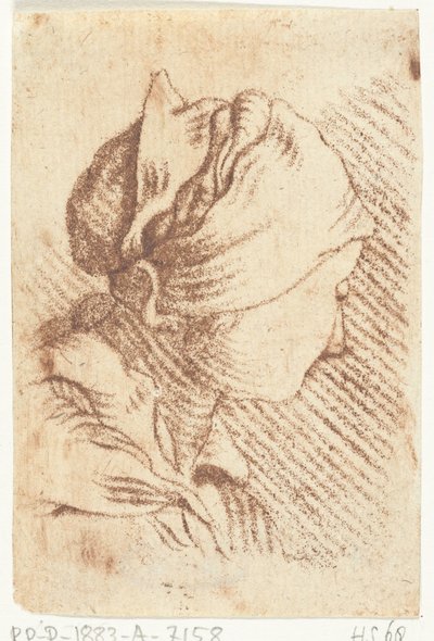 Study Sheet with a Woman