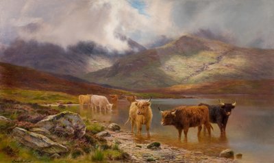Highland Cattle by Louis Bosworth Hurt