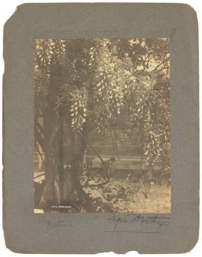 Tiffany Studios by Louis Comfort Tiffany