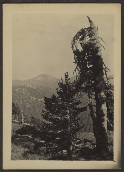 Abe Lincoln Peak by Louis Fleckenstein