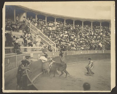 Bullfight by Louis Fleckenstein