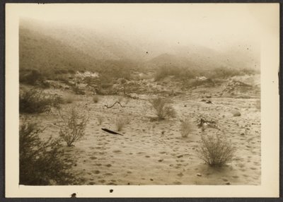 Coyote Canyon by Louis Fleckenstein