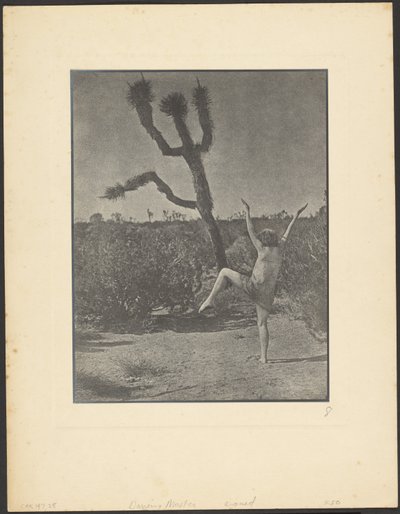 Dancing Master by Louis Fleckenstein