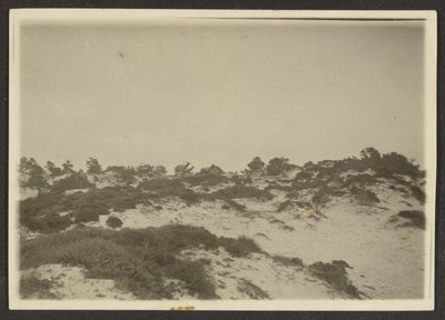 Dunes by Louis Fleckenstein