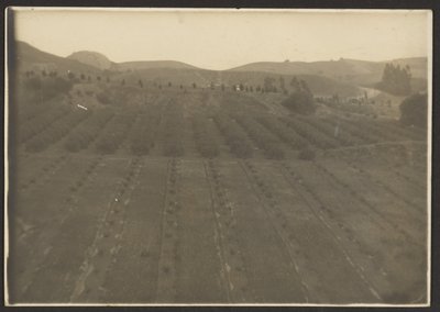 Farm Landscape by Louis Fleckenstein
