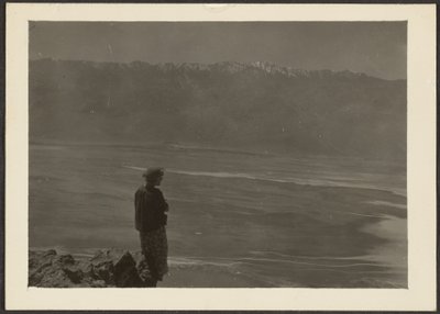 Figure Overlooking Coast by Louis Fleckenstein